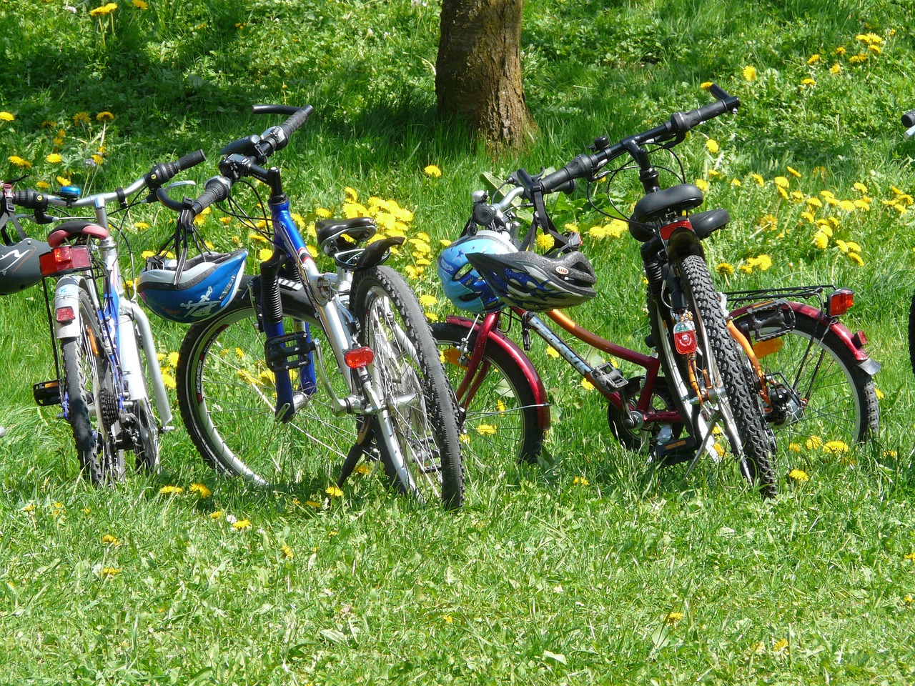 Autunno tra terme della Romagna e tour in bici